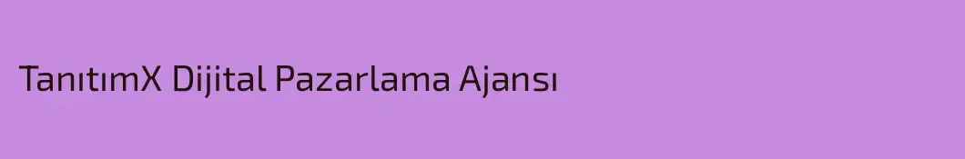 TanıtımX Dijital Pazarlama Ajansı